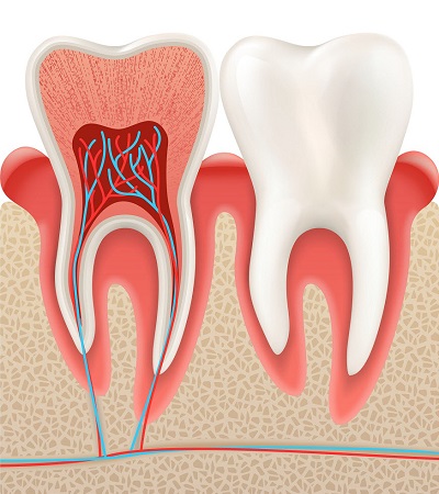 Restore Dental Health with Root Canal Therapy